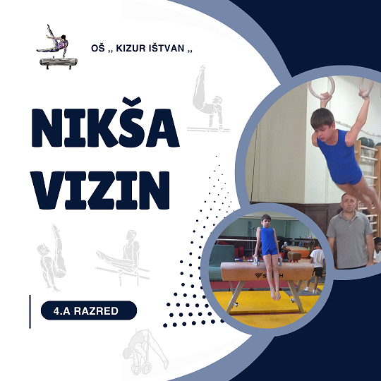 Nikša Vizin gimnastičar